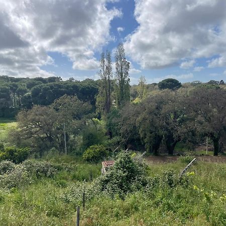 Quinta Dos Canais Setúbal Dış mekan fotoğraf