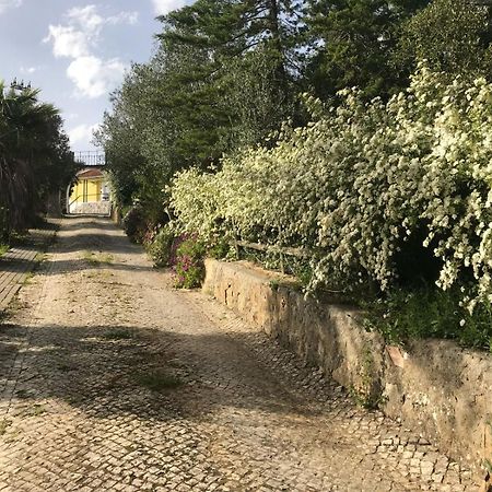 Quinta Dos Canais Setúbal Dış mekan fotoğraf
