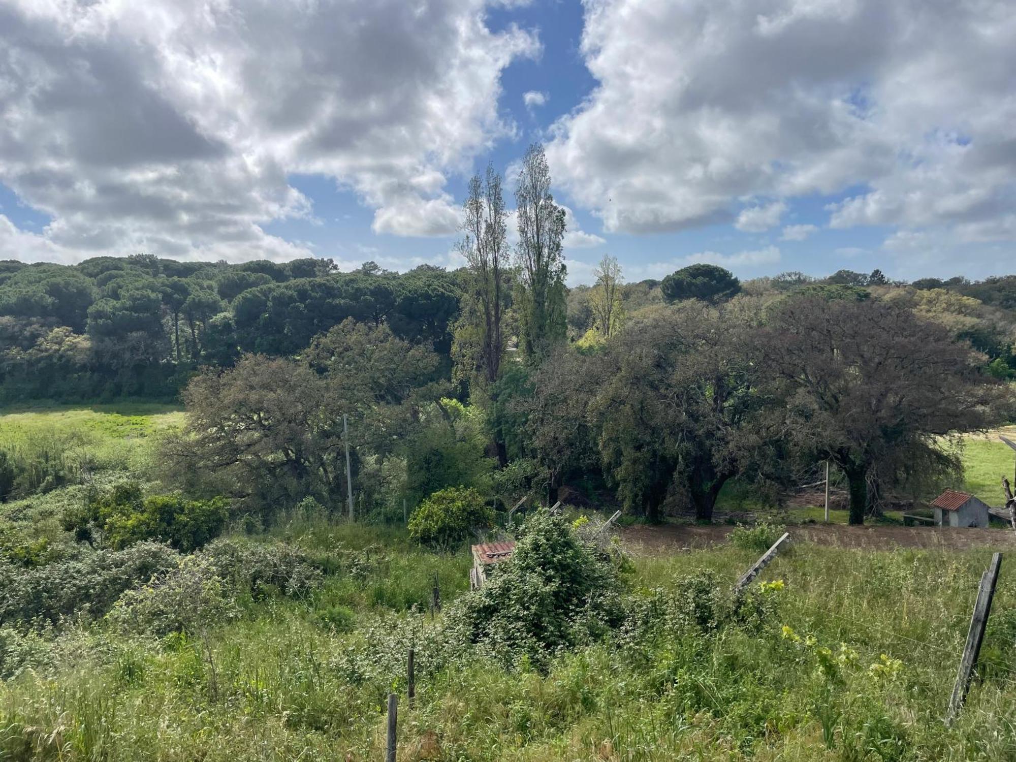 Quinta Dos Canais Setúbal Dış mekan fotoğraf