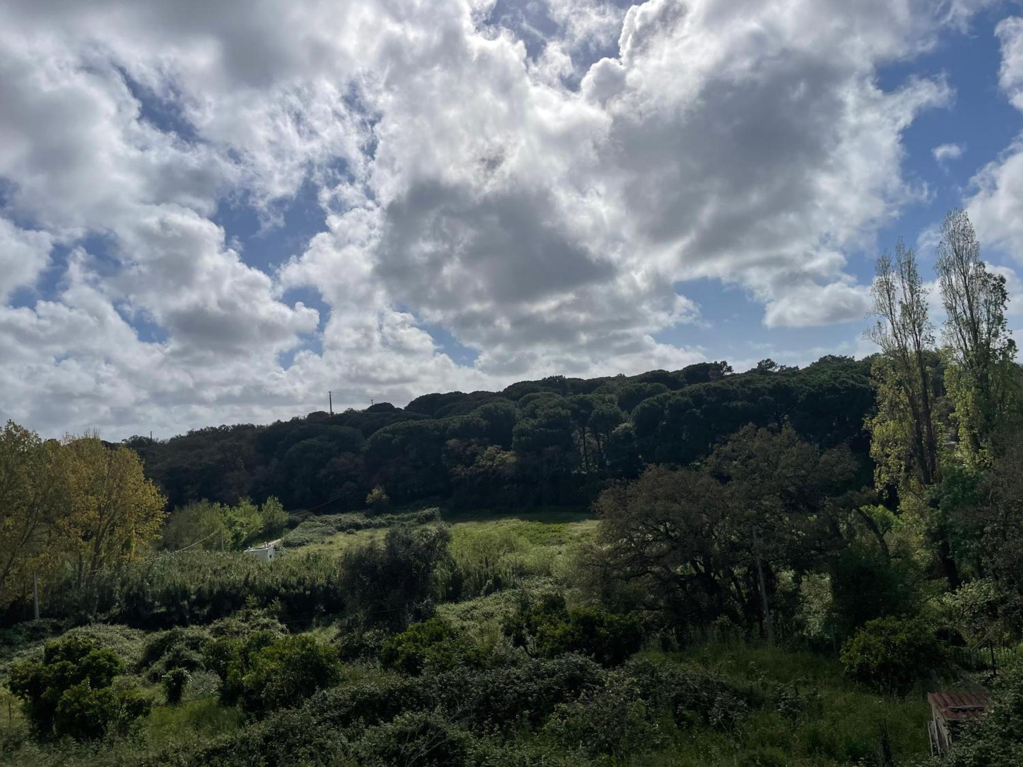 Quinta Dos Canais Setúbal Dış mekan fotoğraf