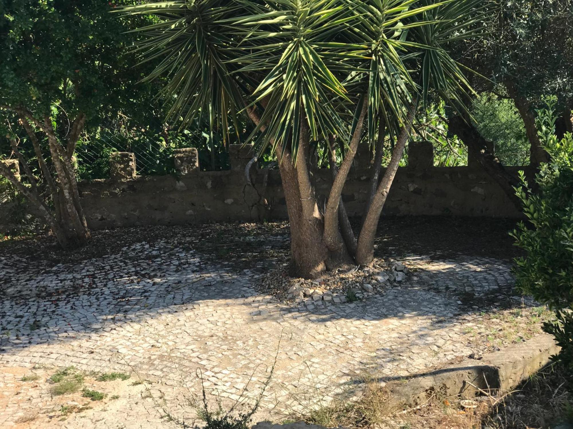 Quinta Dos Canais Setúbal Dış mekan fotoğraf