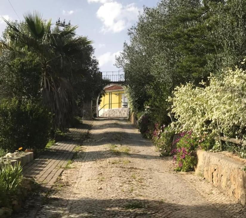 Quinta Dos Canais Setúbal Dış mekan fotoğraf