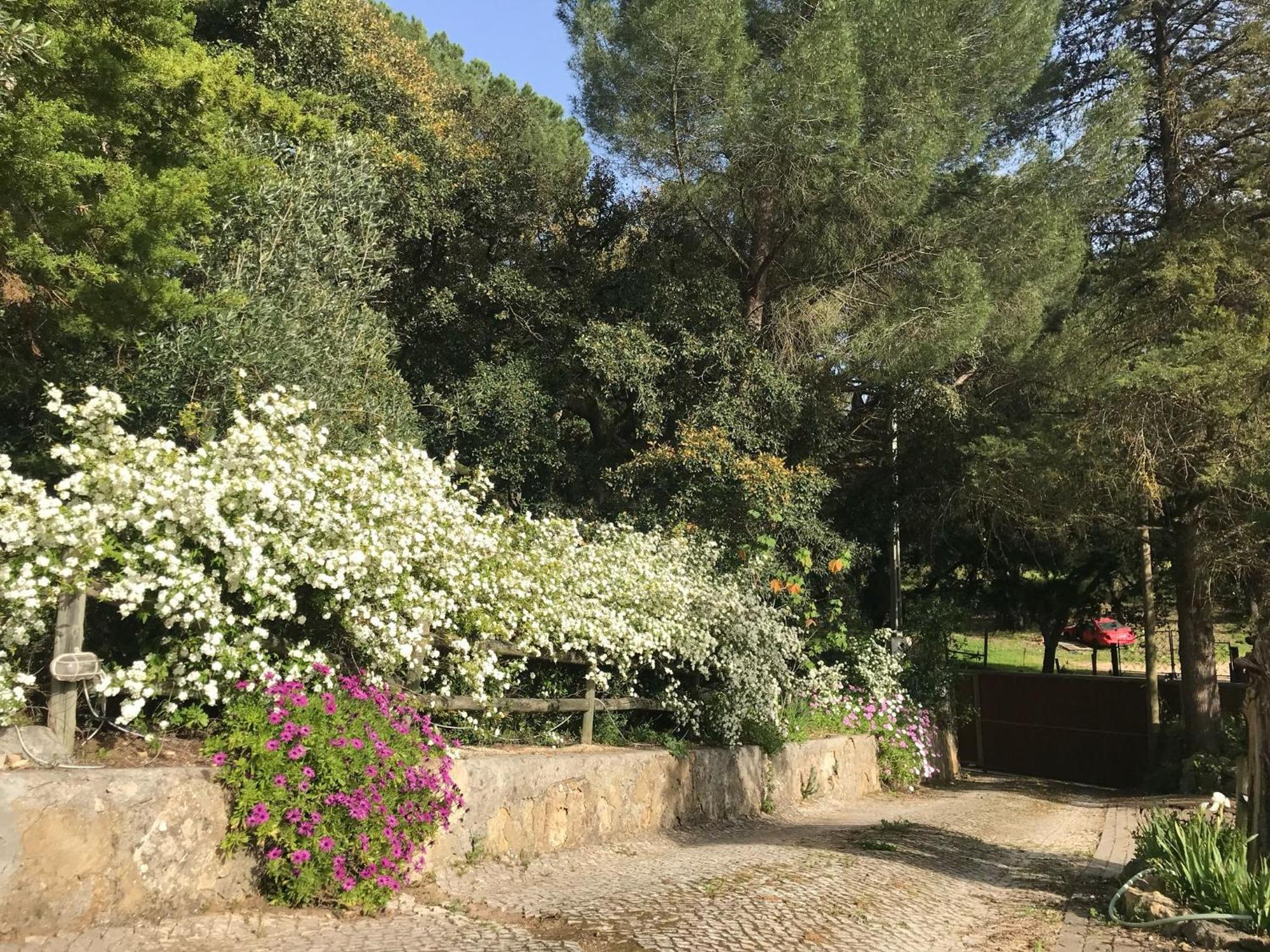 Quinta Dos Canais Setúbal Dış mekan fotoğraf