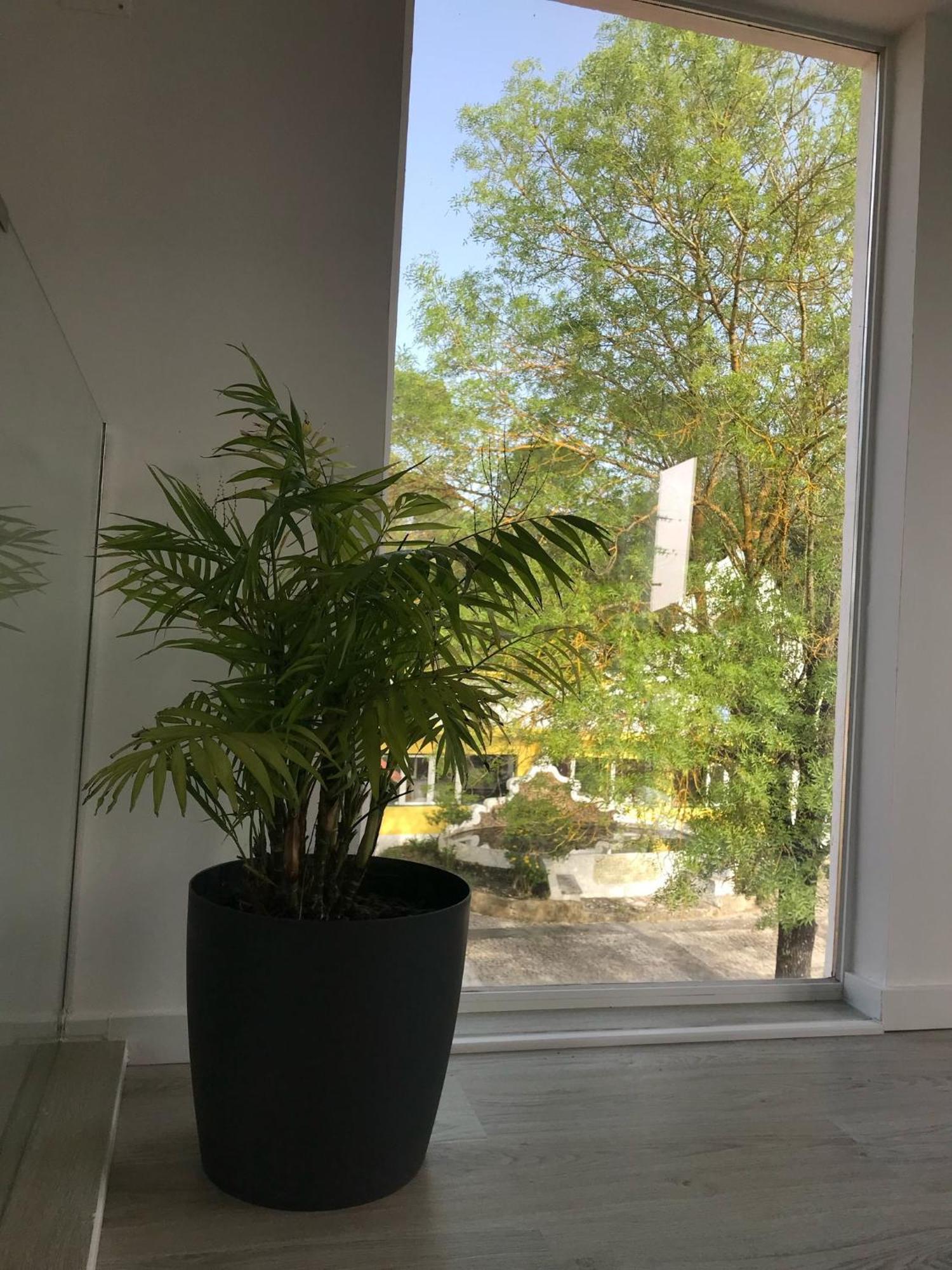 Quinta Dos Canais Setúbal Dış mekan fotoğraf