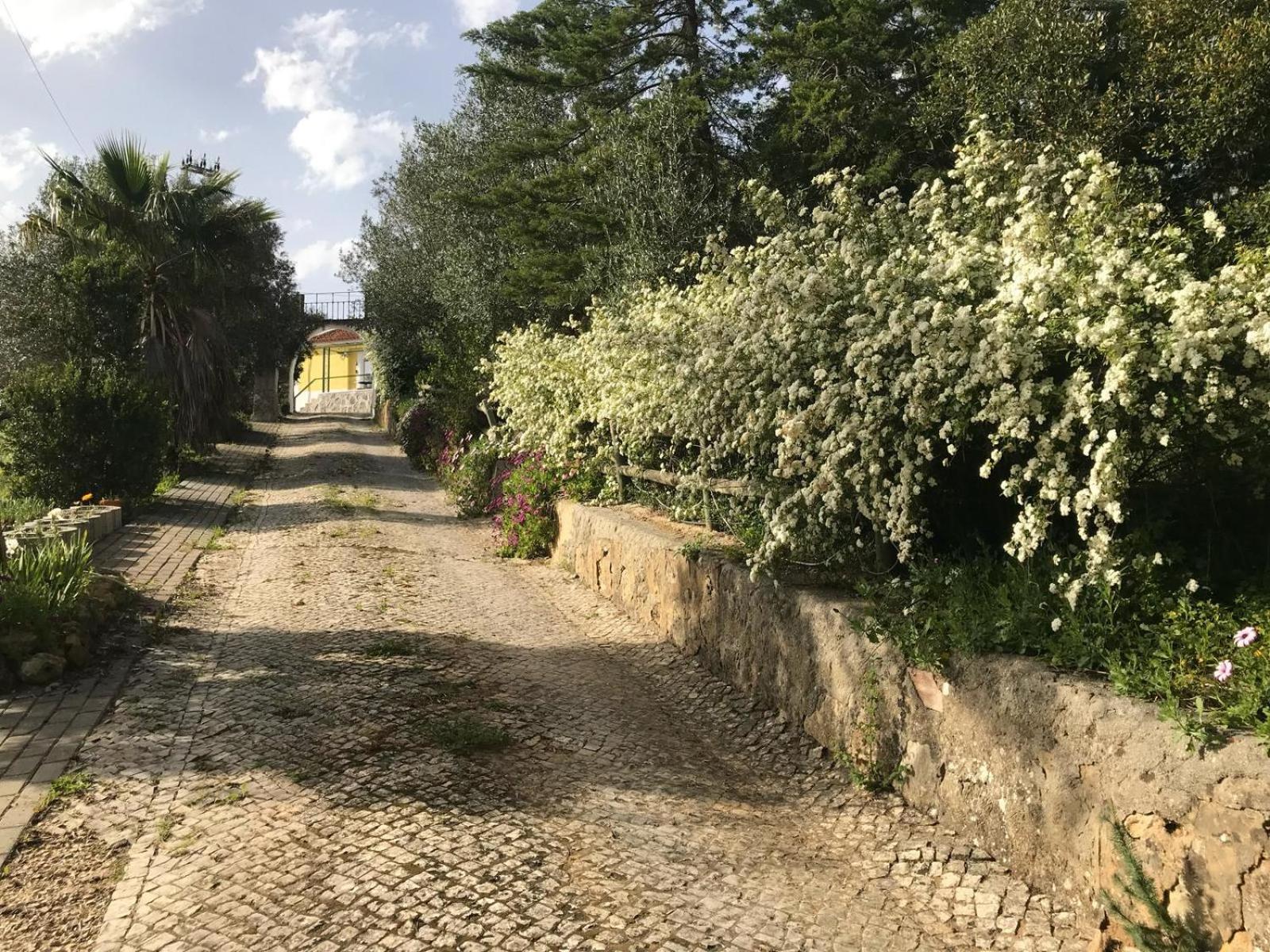 Quinta Dos Canais Setúbal Dış mekan fotoğraf