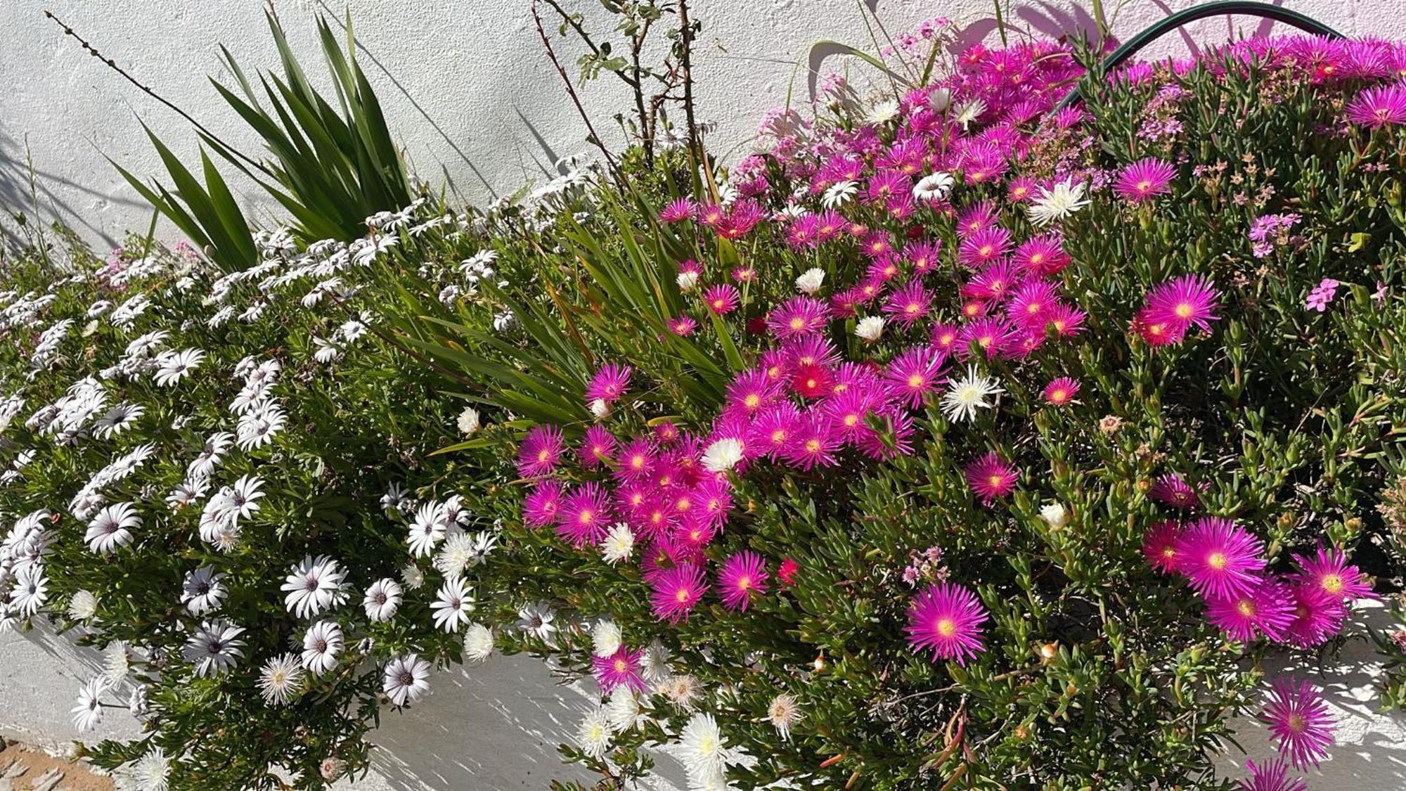 Quinta Dos Canais Setúbal Dış mekan fotoğraf