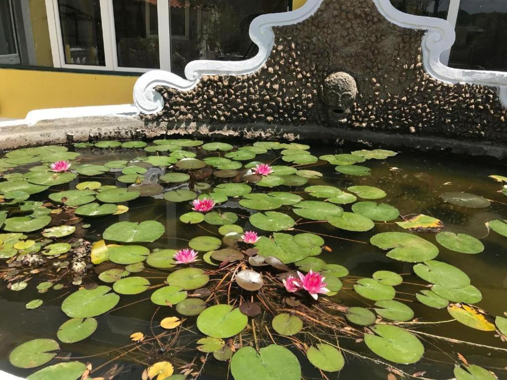 Quinta Dos Canais Setúbal Dış mekan fotoğraf