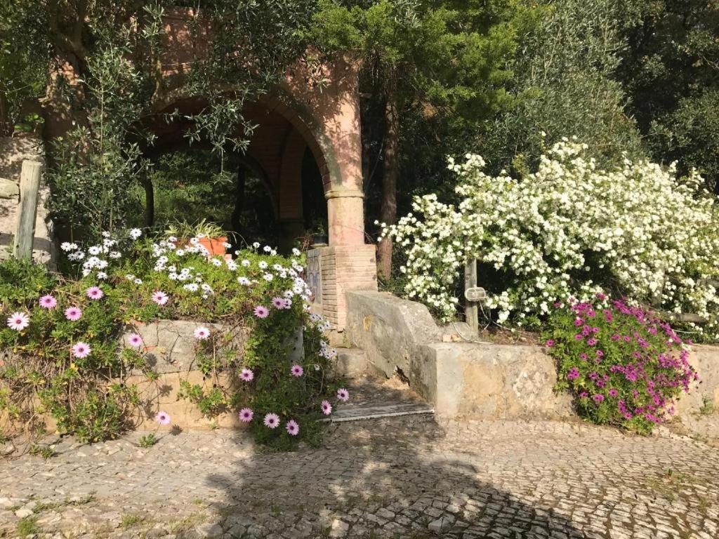 Quinta Dos Canais Setúbal Dış mekan fotoğraf